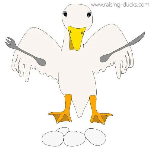 duck eating eggs drawing