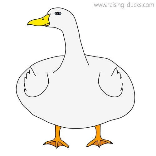 obese duck drawing