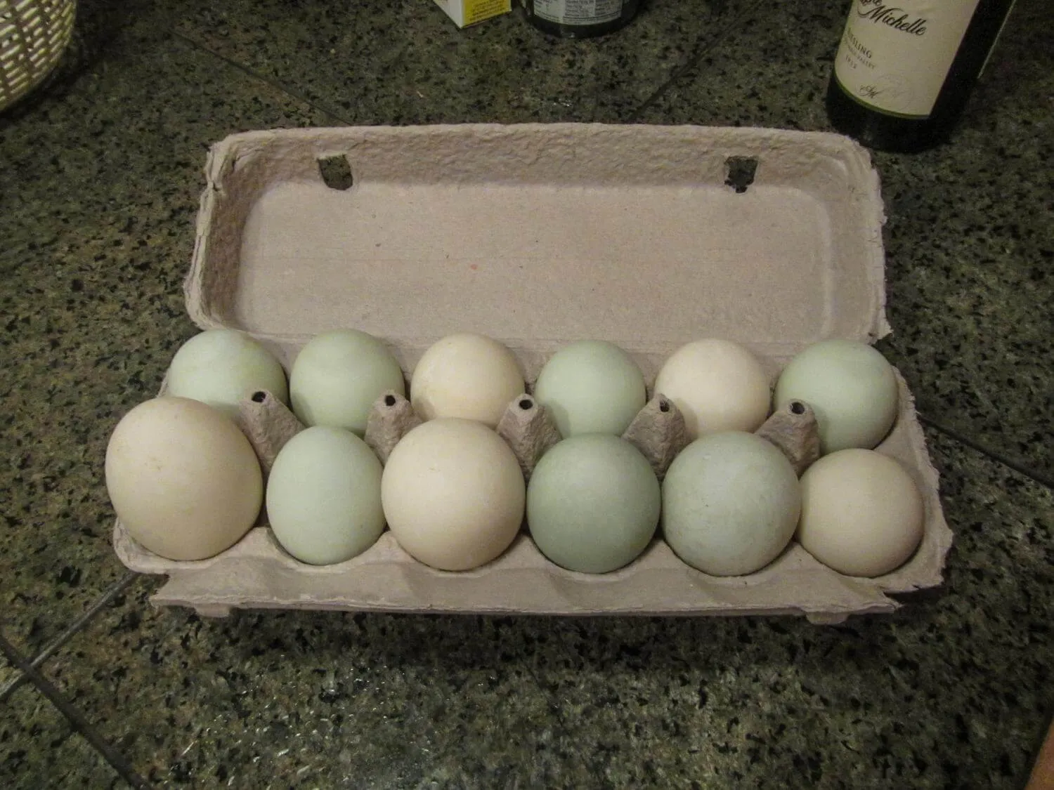 green and white duck eggs in carton