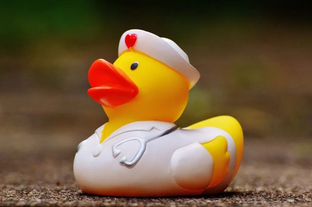 How to Care For and Treat a Sick Duck — Raising Ducks